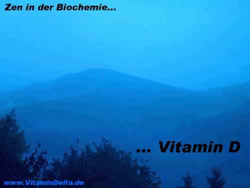zen-Biochemie-Vitamin-D